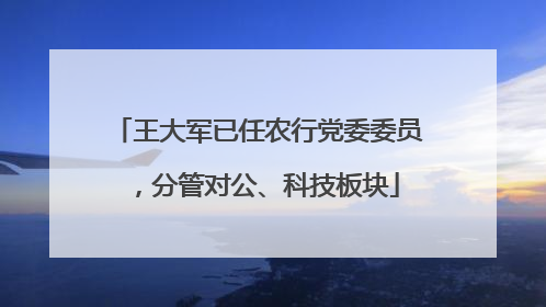 王大军已任农行党委委员，分管对公、科技板块