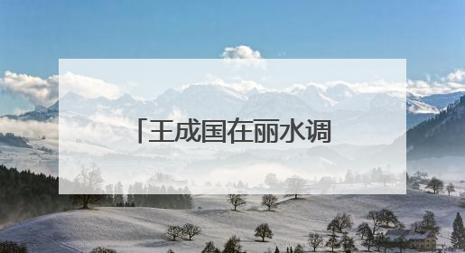 王成国在丽水调研时强调：以更高水平安全和法治环境服务保障山区海岛县高质量发展
