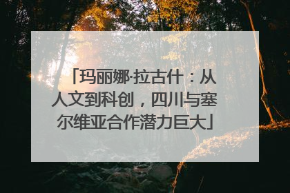 玛丽娜·拉古什：从人文到科创，四川与塞尔维亚合作潜力巨大