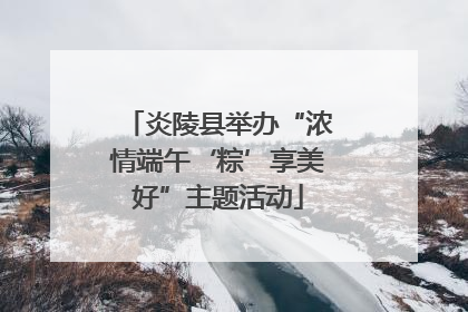 炎陵县举办“浓情端午‘粽’享美好”主题活动
