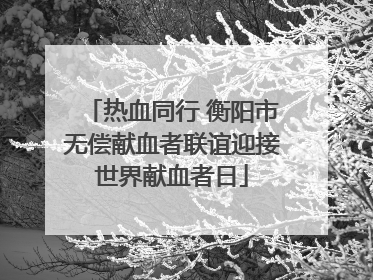 热血同行 衡阳市无偿献血者联谊迎接世界献血者日