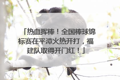 热血挥棒！全国棒球锦标赛在平潭火热开打，福建队取得开门红！