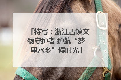 特写：浙江古镇文物守护者 护航“梦里水乡”慢时光