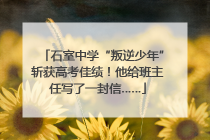 石室中学“叛逆少年”斩获高考佳绩！他给班主任写了一封信……