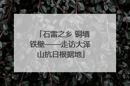石雷之乡 铜墙铁壁——走访大泽山抗日根据地