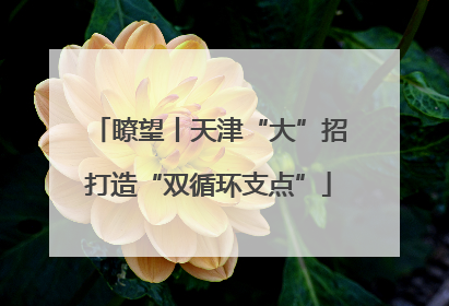 瞭望丨天津“大”招打造“双循环支点”