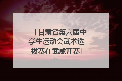 甘肃省第六届中学生运动会武术选拔赛在武威开赛