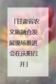 甘肃省农文旅融合发展现场推进会在庆阳召开
