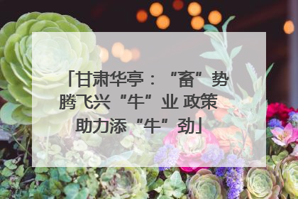 甘肃华亭：“畜”势腾飞兴“牛”业 政策助力添“牛”劲