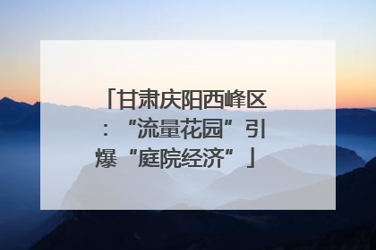 甘肃庆阳西峰区：“流量花园”引爆“庭院经济”