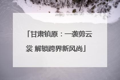 甘肃镇原：一袭剪云裳 解锁跨界新风尚