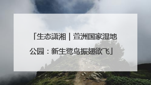 生态潇湘｜萱洲国家湿地公园：新生鹭鸟振翅欲飞
