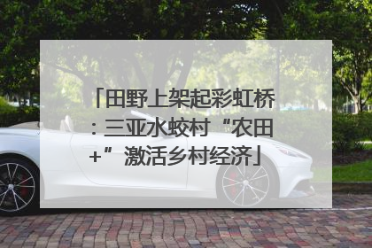 田野上架起彩虹桥：三亚水蛟村“农田+”激活乡村经济