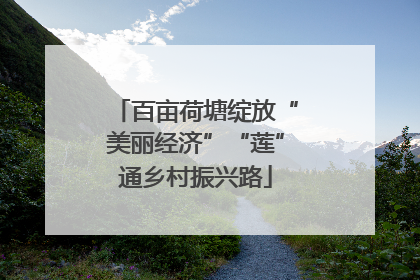 百亩荷塘绽放“美丽经济”“莲”通乡村振兴路