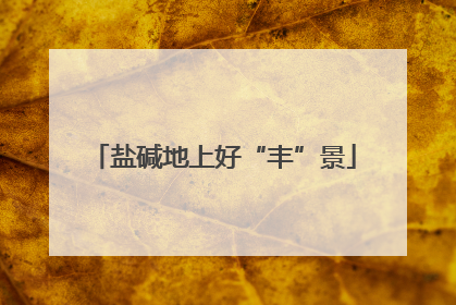 盐碱地上好“丰”景
