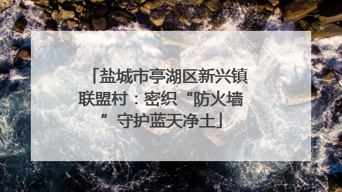 盐城市亭湖区新兴镇联盟村：密织“防火墙”守护蓝天净土
