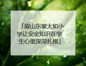 眉山东坡太和小学让安全知识在学生心里深深扎根
