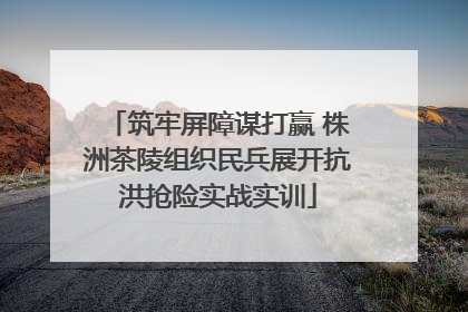 筑牢屏障谋打赢 株洲茶陵组织民兵展开抗洪抢险实战实训