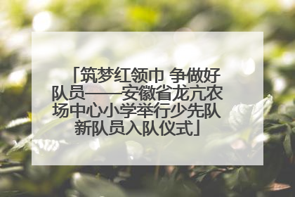 筑梦红领巾 争做好队员——安徽省龙亢农场中心小学举行少先队新队员入队仪式