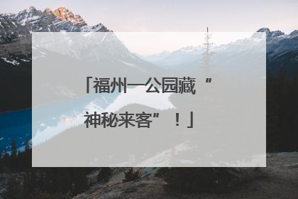 福州一公园藏“神秘来客”！