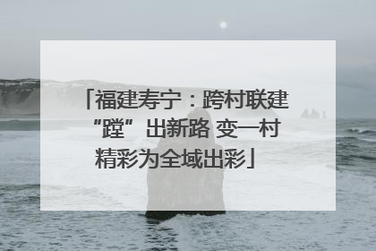 福建寿宁：跨村联建“蹚”出新路 变一村精彩为全域出彩