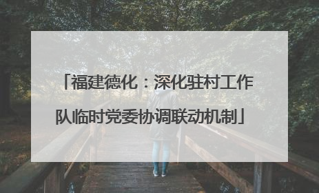 福建德化：深化驻村工作队临时党委协调联动机制