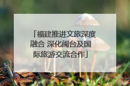 福建推进文旅深度融合 深化闽台及国际旅游交流合作