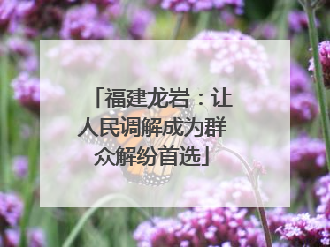 福建龙岩：让人民调解成为群众解纷首选