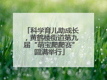 科学育儿助成长，黄鹤楼街道第九届“萌宝爬爬赛”圆满举行