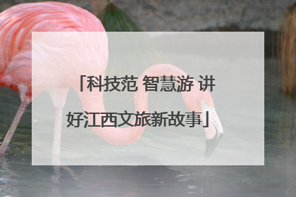 科技范 智慧游 讲好江西文旅新故事