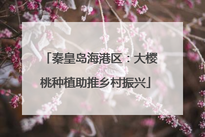 秦皇岛海港区：大樱桃种植助推乡村振兴