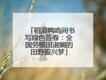 稻浪鸭鸣间书写绿色答卷：全国劳模田淑娴的田野振兴梦