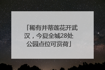 稀有并蒂莲花开武汉，今夏全城28处公园点位可赏荷