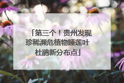 第三个！贵州发现珍稀濒危植物睡莲叶杜鹃新分布点