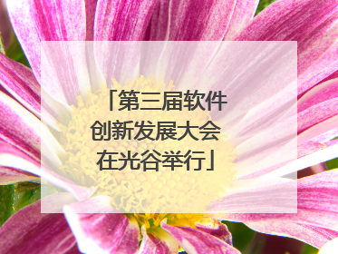 第三届软件创新发展大会在光谷举行