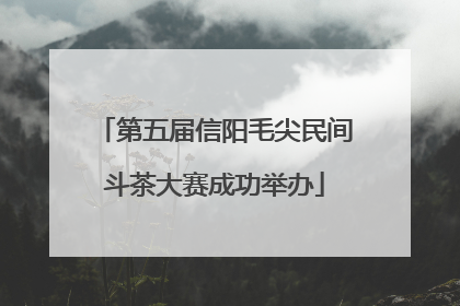 第五届信阳毛尖民间斗茶大赛成功举办