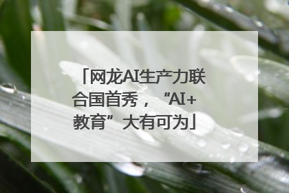 网龙AI生产力联合国首秀，“AI+教育”大有可为