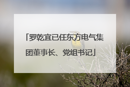 罗乾宜已任东方电气集团董事长、党组书记