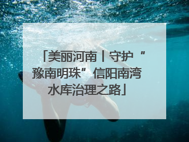 美丽河南丨守护“豫南明珠”信阳南湾水库治理之路