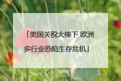 美国关税大棒下 欧洲多行业恐陷生存危机