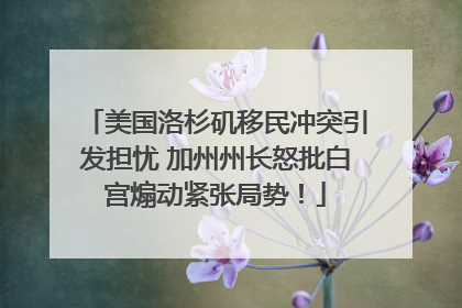 美国洛杉矶移民冲突引发担忧 加州州长怒批白宫煽动紧张局势！