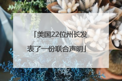 美国22位州长发表了一份联合声明