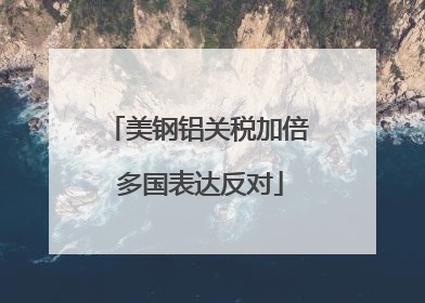 美钢铝关税加倍 多国表达反对