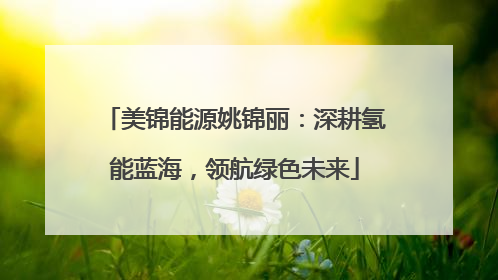 美锦能源姚锦丽：深耕氢能蓝海，领航绿色未来