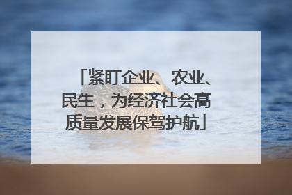 紧盯企业、农业、民生，为经济社会高质量发展保驾护航