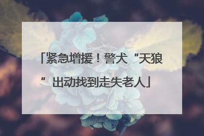 紧急增援！警犬“天狼”出动找到走失老人