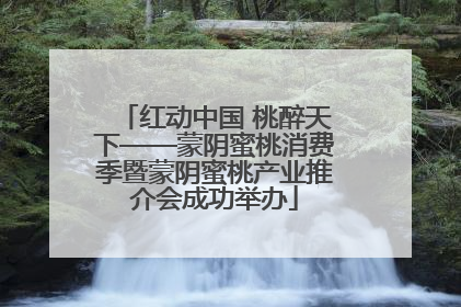 红动中国 桃醉天下——蒙阴蜜桃消费季暨蒙阴蜜桃产业推介会成功举办