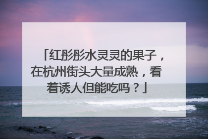 红彤彤水灵灵的果子，在杭州街头大量成熟，看着诱人但能吃吗？