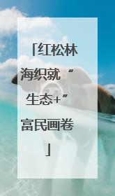 红松林海织就“生态+”富民画卷