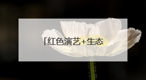 红色演艺+生态旅游双轮驱动 南太行文旅融合赋能乡村振兴